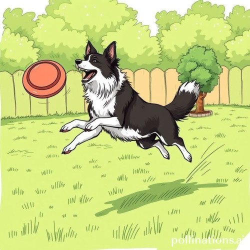 Unlock a World of Joy: The Ultimate Boredom Busters for Your Dog