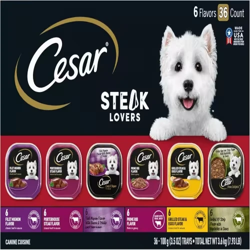 Cesar Wet Dog Food Steak Lovers Variety Pack - Gourmet Meals with Real Meat for Your Furry Friend
