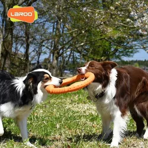 LaRoo Durable Dog Flying Ring Toy - Perfect for Fetch, Water Play & Training - Tough, Chew-Proof Design for Aggressive Chewers - Lightweight Frisbee for Medium/Large Dogs (Orange, 30cm)