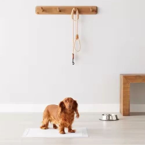 Amazon Basics Dog and Puppy Pee Pads - The Ultimate Solution for Potty Training and Mess-Free Living!
