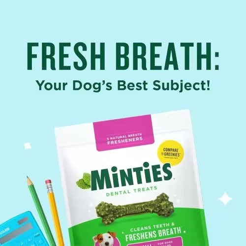 Vet-Recommended Minties Dental Chews for Dogs - Freshen Breath & Clean Teeth in Tiny/Small Breeds