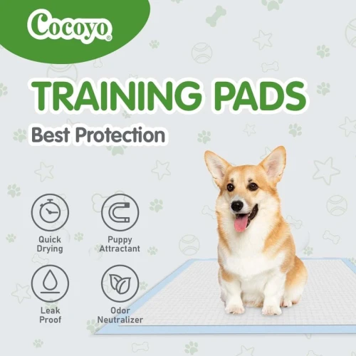 COCOYO XXL Training Pads 30"x36", 40 Count: Ultra Absorbent, Leak-Proof Puppy & Dog Pee Pads with Odor Control for All Life Stages – Best Value
