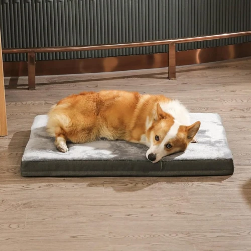 Amazon Basics Large Dog Bed: Cooling Gel Memory Foam for Joint Relief, Washable Cover & Non-Slip Bottom – Ultimate Comfort for Medium to Large Dogs, Grey